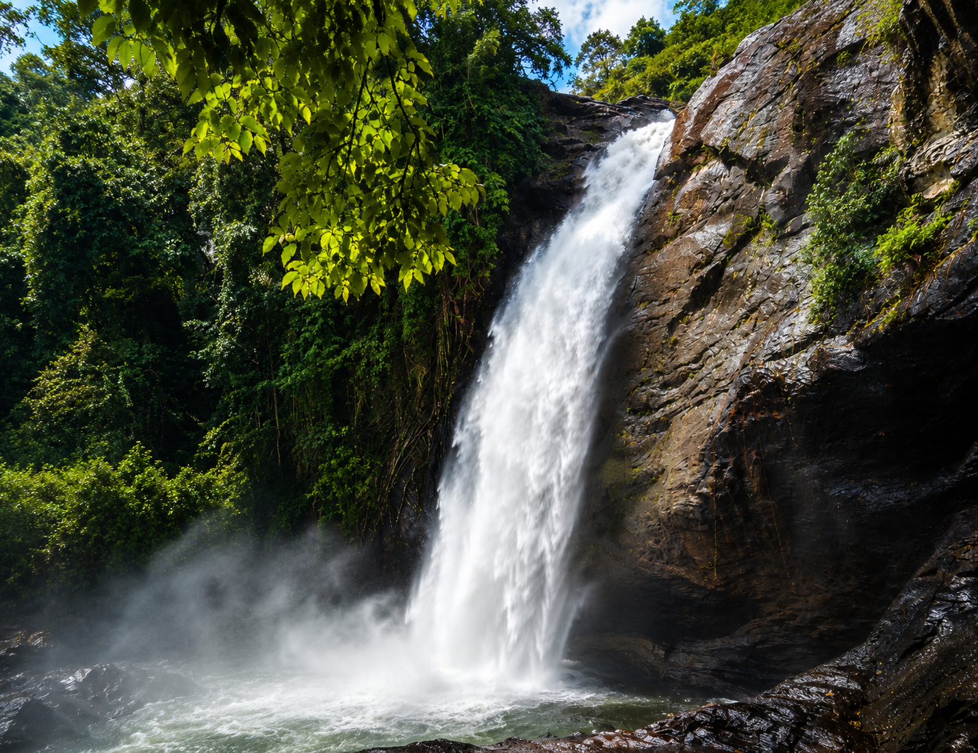 Soochipara Waterfalls in Wayanad